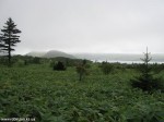 Izobrazhenie910