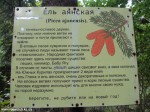 Izobrazhenie920