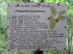 Izobrazhenie933