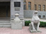 IMG_8285