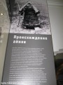 IMG_8331