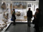 IMG_8346