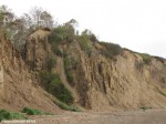 Izobrazhenie1246