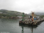 Izobrazhenie819