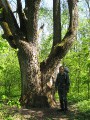 DSCF07