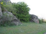 DSCF2260