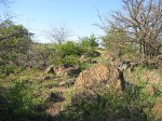 DSCF2264