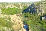 DSCF2303