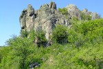 DSCF2351