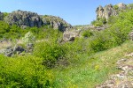 DSCF2362