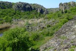 DSCF2366