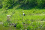 DSCF2376