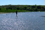 DSCF2389