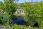 DSCF2398