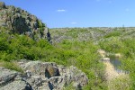 DSCF2420