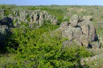 DSCF2451