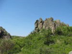 DSCF2458
