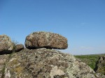DSCF2463