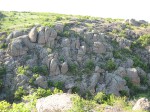 DSCF2464