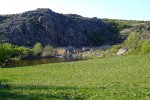 DSCF2496