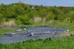 DSCF2498