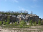 DSCF2534