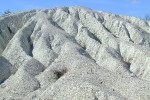 DSCF2535