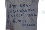 DSCF3951