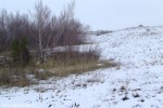 DSCF4005