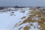 DSCF4020