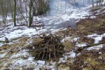 DSCF4031