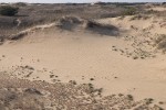 Фото Александра Сергеева (Кишинёв)