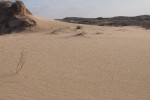 Фото Александра Сергеева (Кишинёв)