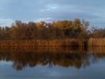 Фото Евгения Лифинцева (Каховка)