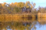 DSCF0061