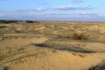 DSCF9996