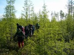 Чарские пески