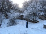 Снежное царство было прекрасным и тихим