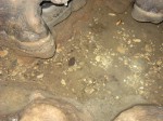 Гладь снова накрыла чашу. А я из неё пила)