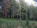 Река Чусовая (Средний Урал, 2009)