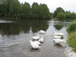 Река Чусовая (Средний Урал, 2009)