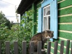 Река Чусовая (Средний Урал, 2009)