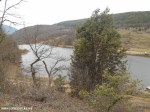 DSCN0223