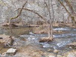 DSCN0239