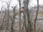 DSCN0243