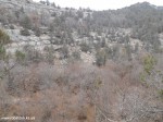 DSCN0280