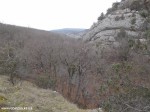DSCN0282
