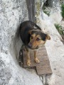 Туристический поход с детьми по юго-западному Крыму (июнь 2010)