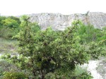 Туристический поход с детьми по юго-западному Крыму (июнь 2010)