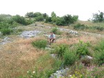 Туристический поход с детьми по юго-западному Крыму (июнь 2010)